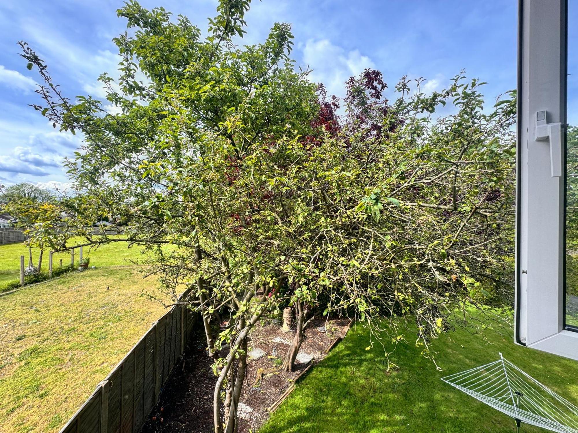 High Trees Guest House Gatwick 홀리 외부 사진